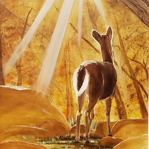 Meet your Posher, John-patrick